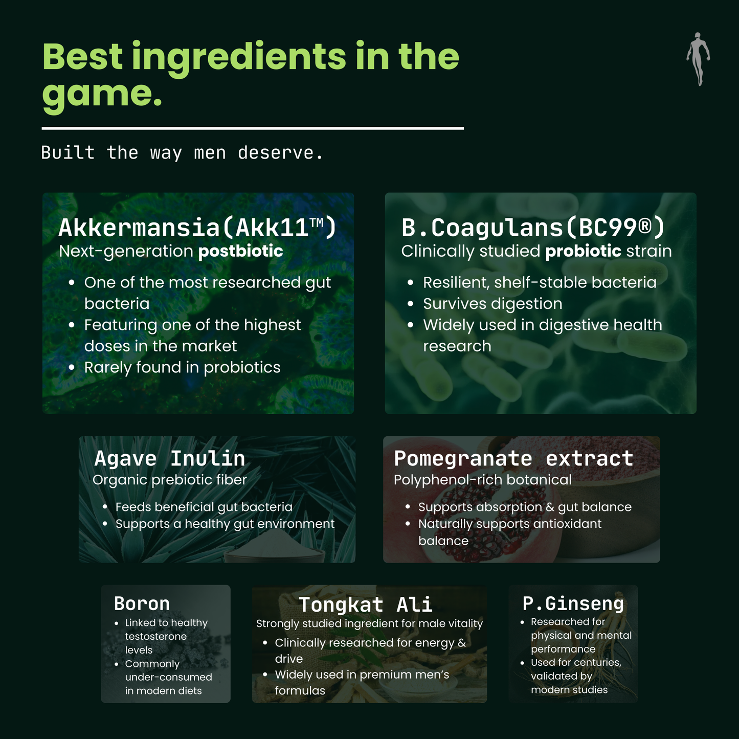 Men's Gut System (5-1) - Akkermansia Probiotic for Digestion, Energy + Men's Performance Support - 60ct USA GMP Certified