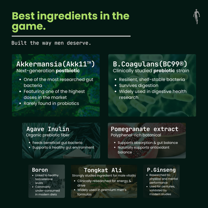 Men's Gut System (5-1) - Akkermansia Probiotic for Digestion, Energy + Men's Performance Support - 60ct USA GMP Certified